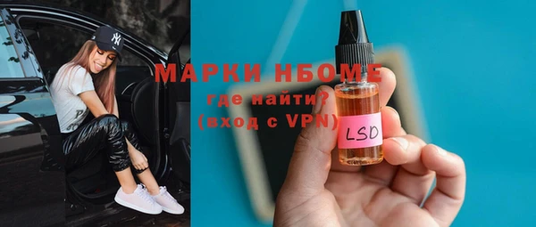 PSILOCYBIN Бородино