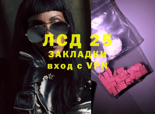 PSILOCYBIN Бородино