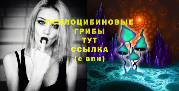 бошки Михайлов