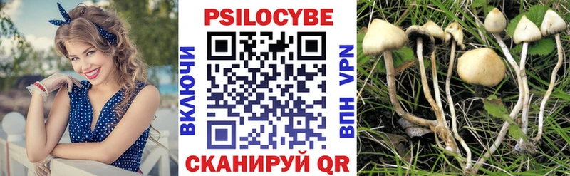 мега ссылки Северск Галлюциногенные грибы ЛСД