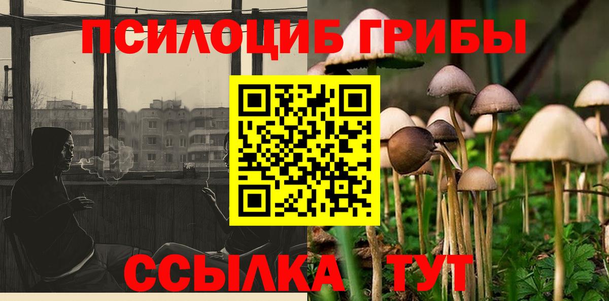 Галлюциногенные грибы мицелий  Псилоцибиновые грибы MAGIC MUSHROOMS  Северск  Вход с VPN 